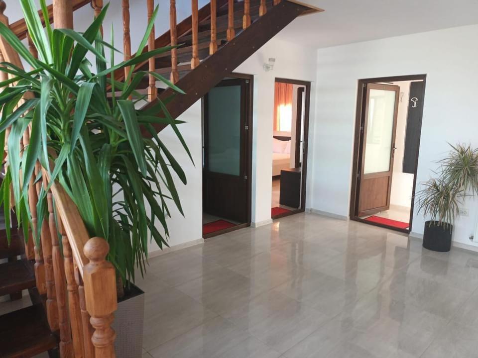 Hotel Vila Maranca Două Mai Esterno foto